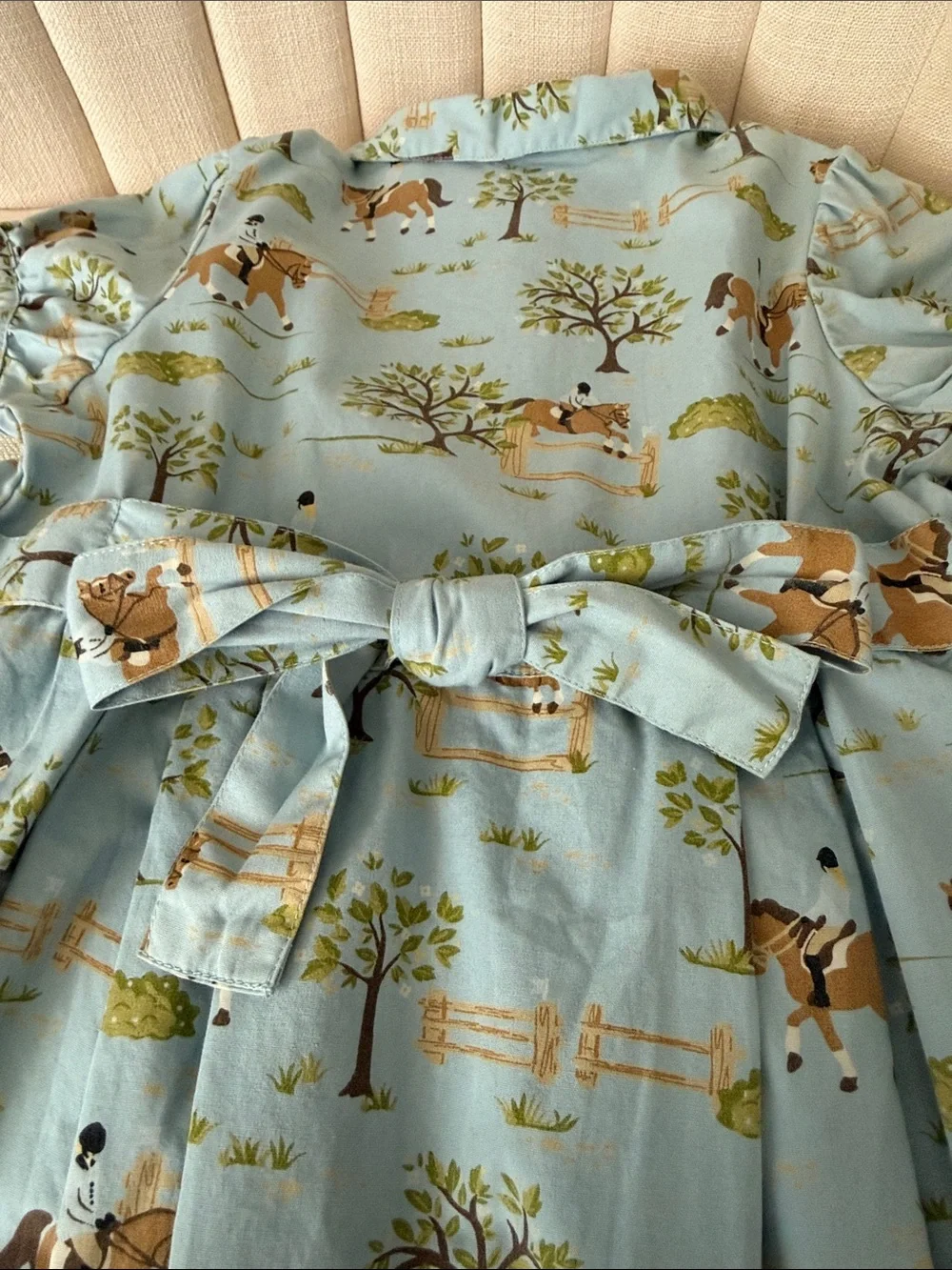 girls 6 Gymboree blue horse equestrian riding dress print club pleated cotton